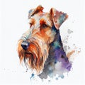 Watercolour portrait Airedale Terrier face Royalty Free Stock Photo