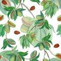 Watercolor almond branches pattern on white Royalty Free Stock Photo