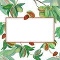 Watercolor almond branches sticker