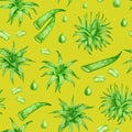 Watercolor aloe vera seamless pattern. Hand drawn fresh succulent herbs, aloe juice drops, leaf slices on bright yellow background