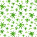 Watercolor aloe vera seamless pattern. Hand painted fresh succulent herbs, aloe leaf slices isolated on white background.