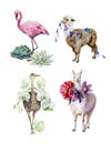 Watercolor of alpaca, llama,ostrich and flamingo