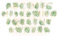 Watercolor Alphabet golden tropical set of leeters with green leaves illustrations Royalty Free Stock Photo