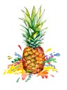 Watercolor ananas with rainbow splash