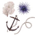 Watercolor anchor, coral, seagrass and rope with knot. Marine theme. Isolated illustration on a white background