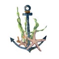 Watercolor anchor with laminaria branch and coral reef. Hand painted underwater illustration with starfish, seaweed Royalty Free Stock Photo