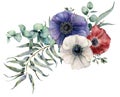 Watercolor anemone asymmetric bouquet. Hand painted red, blue and white flowers, eucalyptus leaves and branch isolated