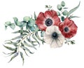 Watercolor anemone bouquet. Hand painted red and white flowers, eucalyptus leaves isolated on white background