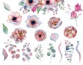 Watercolor anemone peonies flowers and leaves