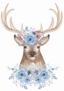 Watercolor animal and beautiful flower bouquet illustration. Deer decorated with florals and feathers clipart. Composition for