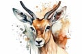 Watercolor antelope illustration on white background Royalty Free Stock Photo