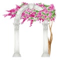 Watercolor antique arch column corinthian order with bright pink flowers, Ancient Classic Greek pillar, Roman Columns Royalty Free Stock Photo