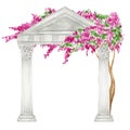 Watercolor antique arch column corinthian order with bright pink flowers, Ancient Classic Greek pillar, Roman Columns