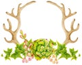 Watercolor antler with succulent, cactus, and leaves. Royalty Free Stock Photo