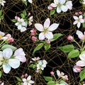 Watercolor apple blossom flower. Floral botanical flower. Seamless background pattern.