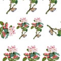 Watercolor apple flowers pattern