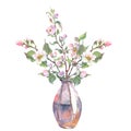 Watercolor apple tree branch and flowers in glass vase, blooming tree on white background, isolated watercolor Royalty Free Stock Photo