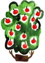 Watercolor apple tree impression painting Royalty Free Stock Photo