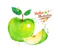 Watercolor apple
