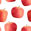 Watercolor apples seamless pattern isolated on white background. Hand drawn red fruits for packaging, menu design Royalty Free Stock Photo