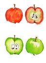 Watercolor apples