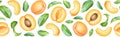 Seamless pattern with watercolor apricot fruits and leaves