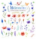 Watercolor aquarelle flowers and leaves. Royalty Free Stock Photo
