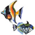 Watercolor aquatic underwater colorful tropical fish set. Red sea and exotic fishes inside.