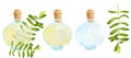 Watercolor aromatherapy set. Empty, full glass bottle with yellow essential oil and green eucalyptus branches. Hand drawn aroma Royalty Free Stock Photo