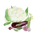 Watercolor arragement vegetable food. Hand painted vegeterian healthy food for design menu, veggie blog