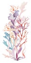 Watercolor vertical arrangement made from seaweeds in pastel colors. Illustration bouquet