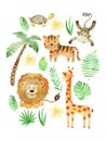 Watercolor safari arrangements. Royalty Free Stock Photo