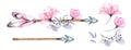 Watercolor arrows and flowers. Collection of separate elements. Banner with tribal boho feathers, transparent roses Royalty Free Stock Photo