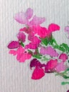 Watercolor abstract background floral flower phlox blooming branch beauty decoration hand beautiful wallpaper