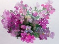 Watercolor abstract background floral flower phlox beauty decoration hand beautiful wallpaper