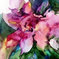 Watercolor art abstract background floral exotic flower texture wet wash blurred fantasy Royalty Free Stock Photo