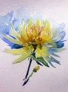 Watercolor art background abstract dalicate light yellow flower dahlia wash blurred single Royalty Free Stock Photo