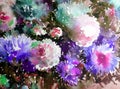 Watercolor art background abstract floral flower aster white pink violet wet wash blurred fantasy Royalty Free Stock Photo