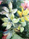 Watercolor art background abstract pattern floral bouquet flowers lilies garden wedding textured wet wash blurred fantasy Royalty Free Stock Photo