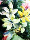 Watercolor art background abstract pattern floral flowers lilies garden wedding textured wet wash blurred fantasy Royalty Free Stock Photo