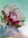 Watercolor art background abstract pattern floral magic flower garden wedding textured wet wash blurred fantasy Royalty Free Stock Photo