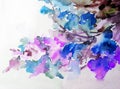 Watercolor art background colorful blue pink flower blossom branch spring garden