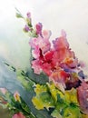 Watercolor art background colorful bouquet flower branch pink yellow gladiolus