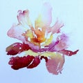 Watercolor art background colorful exotic flower creative