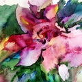 Watercolor art background colorful exotic violet flower single creative Royalty Free Stock Photo