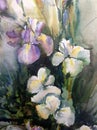 Watercolor art background colorful flower bouquet white