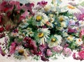 Watercolor art background colorful flower chamomile wild Royalty Free Stock Photo