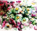 Watercolor art background colorful flower chamomile wild Royalty Free Stock Photo