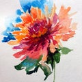 Watercolor art background colorful flower red pink orange dahlia violet single beautiful Royalty Free Stock Photo