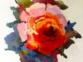 Watercolor art background colorful flower rose single garden Royalty Free Stock Photo